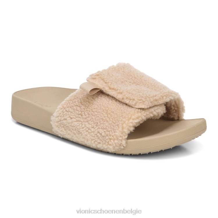 gember geschoren schaap